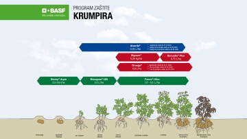 Program zaštite krumpira