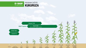 Program zaštite kukuruza