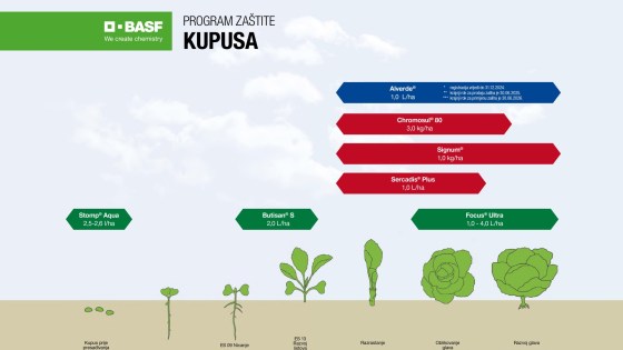 Program zaštite kupusa