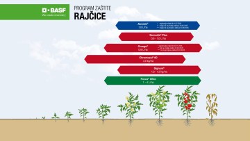 Program zaštite rajčice