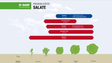 Program zaštite salate