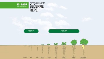 Program zaštite šećerne repe