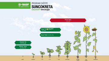 Program zaštite Suncokreta Clearfield tehnologija