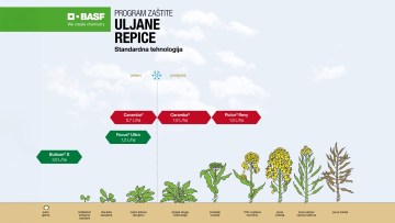 Program zaštite Uljane Repice