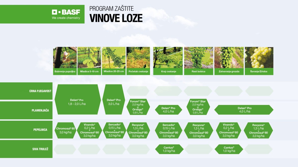 BASF program zastite vinova loza