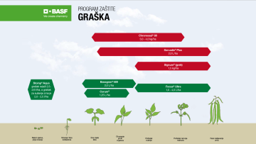 Program zaštite graška