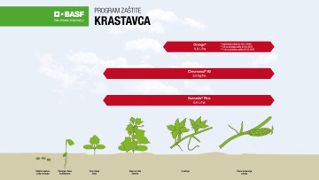 Program zaštite krastavca