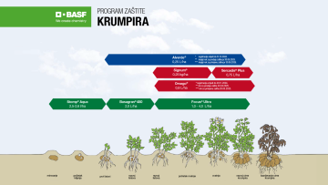 Program zaštite krumpira