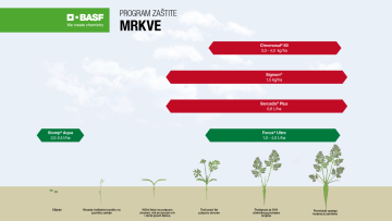 Program zaštite mrkve