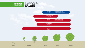 Program zaštite salate